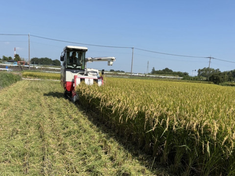 【令和７年新米】幸穂（あきたこまち）真空パック５kg