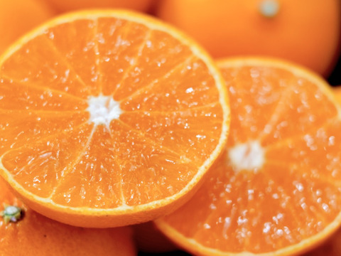 【贈答用】甘平×まどんな【紅プリンセスと同品種】家庭用 3kg【愛果48号】