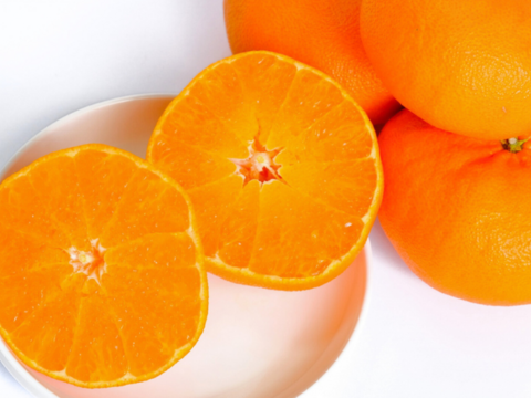 【限定300セット】旬の柑橘フルコース便（食べチョク公式）