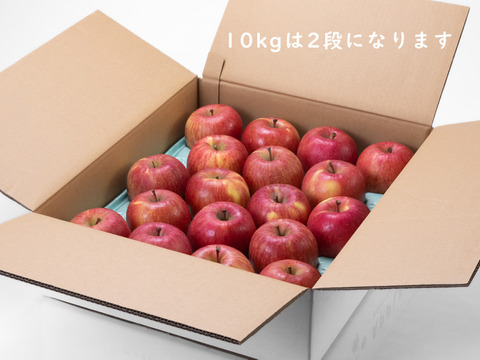 特選🍎贈り物にも！低農薬で皮ごと食べられる青森りんご「葉とらずふじ」10kg