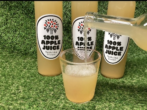 【飲み口最高】果汁たっぷりなサンふじを使用した100%ジュース 2箱6本セット
J-3