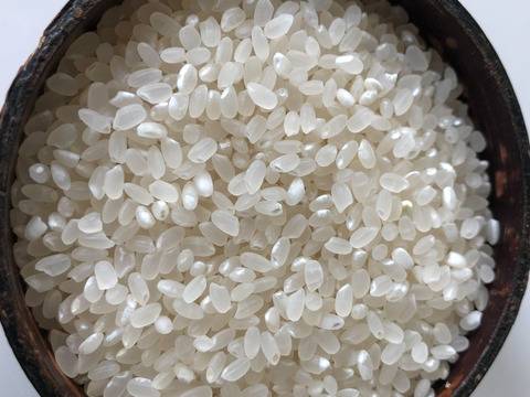 【ササニシキ 玄米20kg】【令和5年9月中旬収穫】山形置賜飯豊　希少育成困難品種