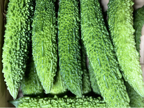 ゴーヤ 3kg【京都産・化学農薬、肥料不使用】