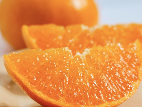 【訳ありだけど美味しさそのまま】せとか 2kg 愛媛県産