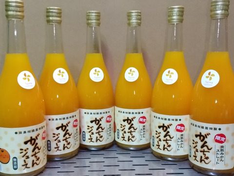 【昔も今も変わらない美味しさ】がんちゃん　温州ミカン完熟贅沢絞りジュース720㎖の6本セット