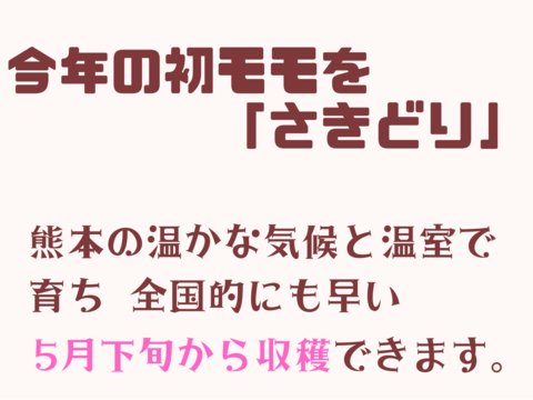 【5月下旬/100円🉐】温室桃はなよめ計1.8kg(12〜16個入り)