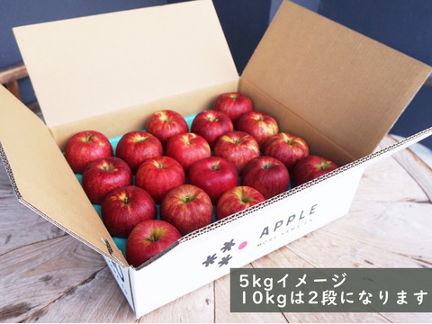 完売御礼🍎シナノスイート🍎5kg 農薬半減栽培✨やさしい甘さとシャリシャリ食感😆 キズなし良品🎁 化学肥料不使用 青森県特別栽培認証取得 旬 葉とらずりんご