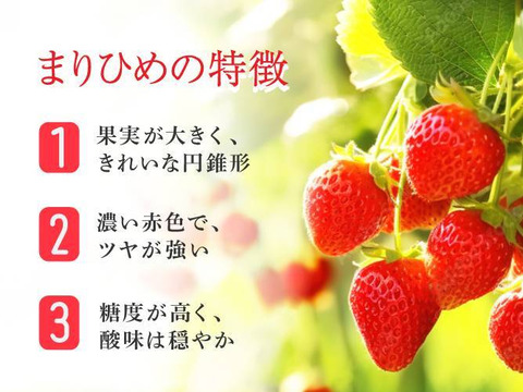 朝採れ、完熟収穫いちご　まりひめ　1000g (250g × 4p)
