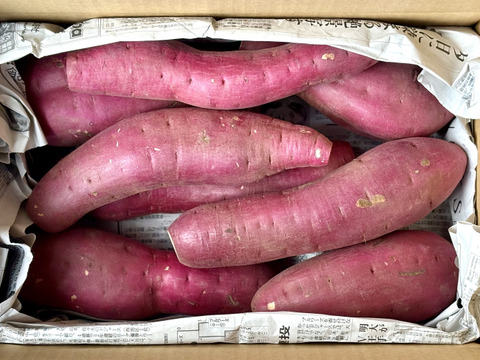 【値下げ】どすこいサイズ「紅はるか」 5キロ箱【訳あり】