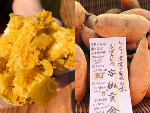 【販売終了】【数量限定】さつまいも食べ比べ便（食べチョク公式）