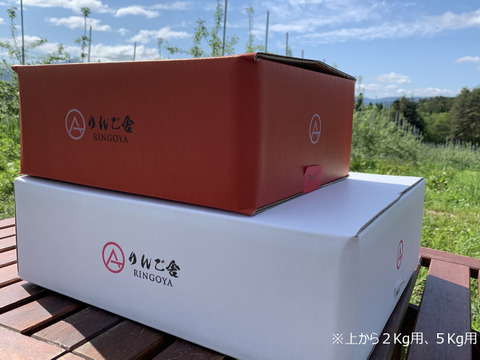 【蔵出し奥州ロマン】【超極小玉】（2kg・9～10個入り）パリパリ・ジューシーお得な家庭用