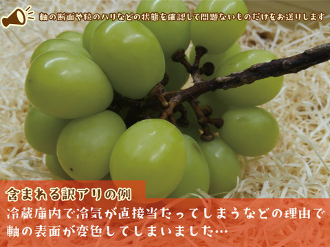 ■訳あり■冬に味わうシャインマスカット！低温貯蔵２房セット