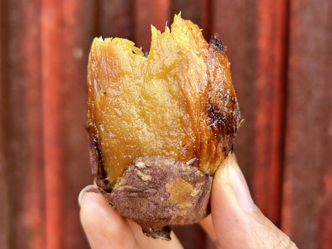 紅はるかSサイズ／10kg