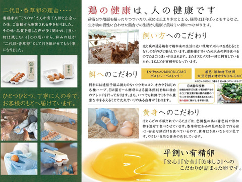 【ハーブ飼料100％】平飼い有精卵香草卵10個入×3パック　レモンイエローの黄身！ハーブの力で生臭さゼロ！