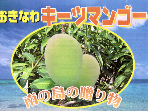 【8月発送】伊江島産キーツマンゴー（家庭用・2kg・2〜3個入り）