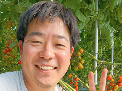 【トマトグランプリ金賞】
皮のやわらかいぷよぷよトマト！！