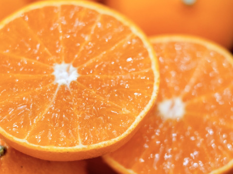 【ゼリーのようなプルプル食感】まどんな 2kg×2箱【家庭用】【冬ギフト】