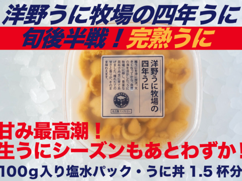 洋野うに牧場の四年うに(塩水パック)100g/1パック
