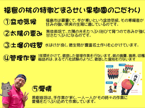 まるせい果樹園の梨【おまかせ】2kg箱　(5～12玉入り)　n1