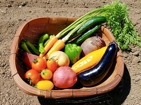 旬の野菜セット【少量サイズ約7~9種類:農薬不使用】