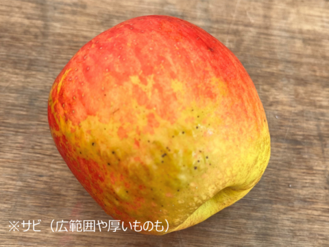 【訳あり】【希少種】【蔵出し奥州ロマン】（2kg・10個入り）パリ甘・ジューシーお得な家庭用