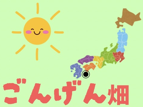 高知県　ごんげん畑の囲い生姜2キロ