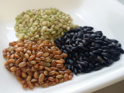 古代米餅「発芽玄米餅＆古代米ミックス餅」２袋セット　27日発送　有機JAS古代米