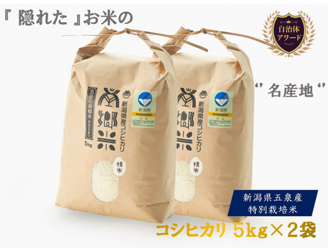 リ*オ様 お米専門農家スーパープレミアム専門。富裕層様向け 新米令和6年11月2 令和6年度 千葉県産 新米 特別栽培米 精米（白米）10㎏ | Asano Farm