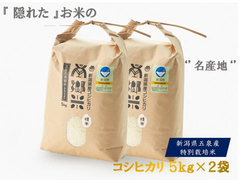 令和6年新米 特別栽培米''隠れたお米の名産地''新潟県五泉産 令和6年新米 特別栽培米''隠れたお米の名産地''新潟県五泉産