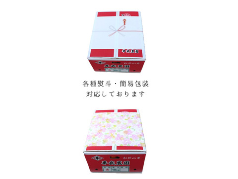 農家直送！しらぬい　2.5kg  【平武農園】〜蛍飛ぶ町から旬の便り〜　和歌山｜有田｜田口｜ギフト