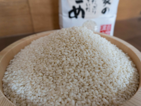 【新米もち米こゆきもち 玄米10kg】【令和4年秋収穫】山形県オリジナルのもち米