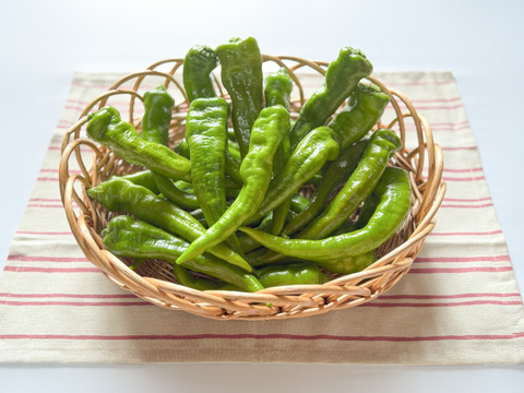 ＼数量限定セール／朝採れ万願寺とうがらし/約1kg(茨城県産)