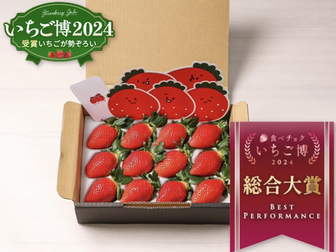 【いちご博2024総合大賞】新鮮完熟やよいひめ（約400g）