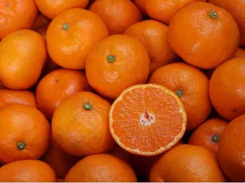 【冬ギフト】農家直送！有田みかん3kg≪Mサイズ 秀品≫【平武農園】～蛍飛ぶ町から旬の便り～　和歌山｜有田｜田口｜ギフト｜こだわり　産地直送　お取り寄せ