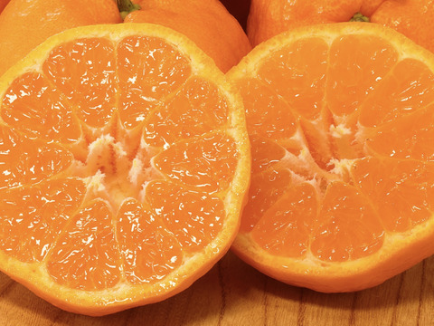 【数量限定】西南のひかり2kg  〜とろける甘さと、溢れる果汁の贅沢〜