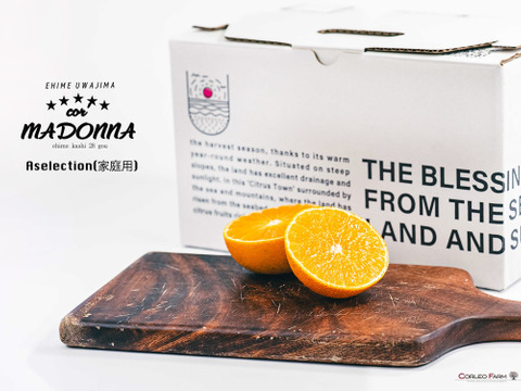 プルップルのゼリー食感【EHIME UWAJIMA〈コル’マドンナ〉】 -Aセレクション（家庭用）-約2.4kg【冬ギフト】