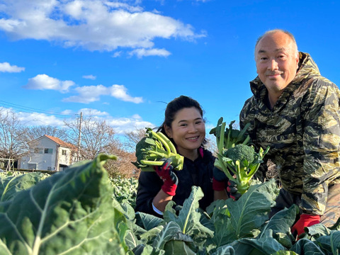 栄養満点！ブロッコリーとビーツのスーパーフードセット