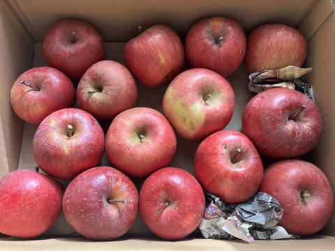 【今だけお買い得！訳あり★50%OFF★】家庭用葉とらずふじりんご3㎏【長野県産】