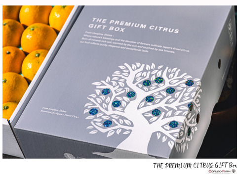 プルップルのゼリー食感【EHIME UWAJIMA〈コル’マドンナ〉】 -Aセレクション（家庭用）-3kg (約2.7kg)【冬ギフト】に最適なGIFT BOXにてお届け