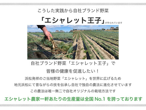 エシャレット200g　朝採り畑直送砂付き 島らっきょう