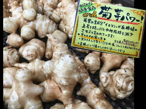 【自然栽培】話題の健康食品！生でも加熱でも美味しい菊芋(2kg)