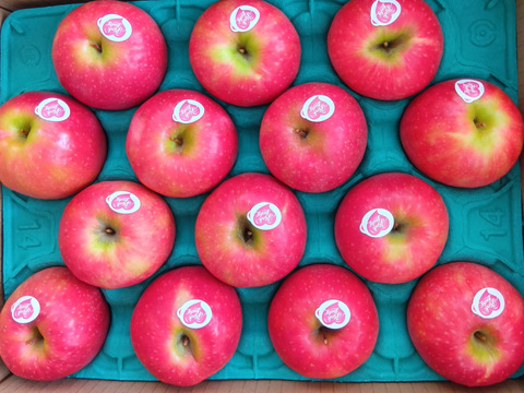 発送中🍎 ピンクレディー®︎3キロ箱 長野県 信州 安曇野 リンゴ 幻 幻
