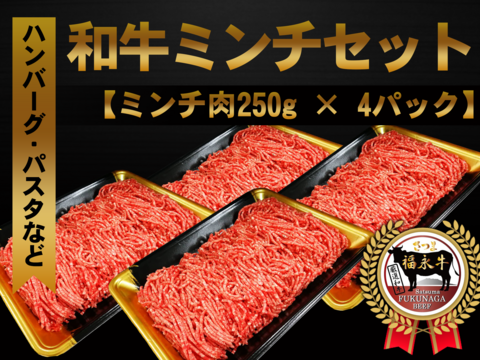 「さつま福永牛」ミンチ肉（250g）× 4パック「熨斗対応可」