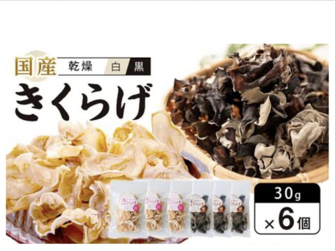 【食べ比べ】コリコリ★プリプリ☆徳島県産乾燥きくらげ白黒30g×6