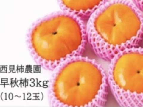 【30箱限定】宝石の様な柿、早秋柿！（4kg）