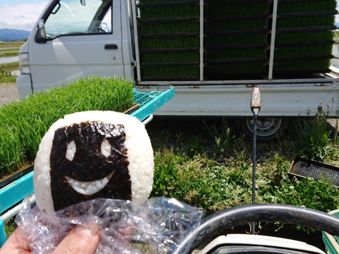 循環型農業 広島県龍頭山麓 ひとめぼれ 令和6年産玄米24kg 有機肥料 広島県龍頭山麓 ひとめぼれ 令和6年産玄米20kg 有機肥料
