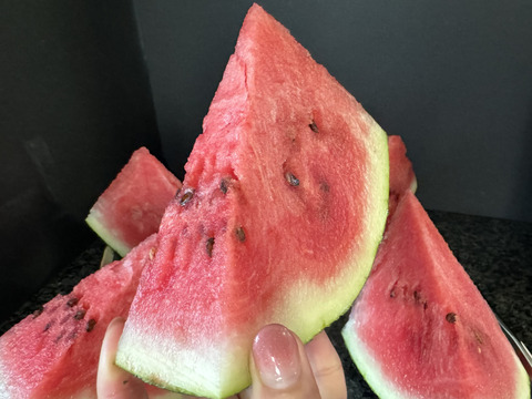 【羅皇】『大里果樹園のスイカ』4Ｌ