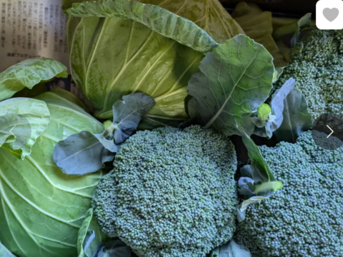 （増量）ともちゃんセット