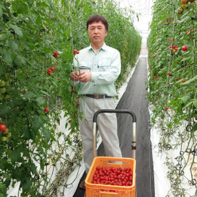 南アルプス丸吉菜園