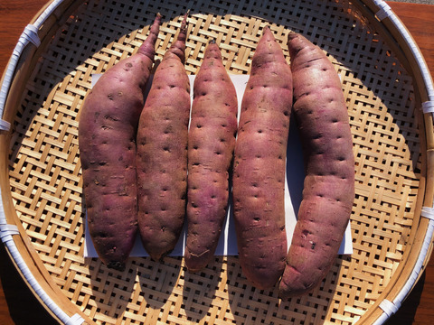 Melonパンさま ほしいも2kg 平干し 紅はるか5kg 2箱 M 2l 茨城県産 食べチョク 農家 漁師の産直ネット通販 旬の食材を生産者直送